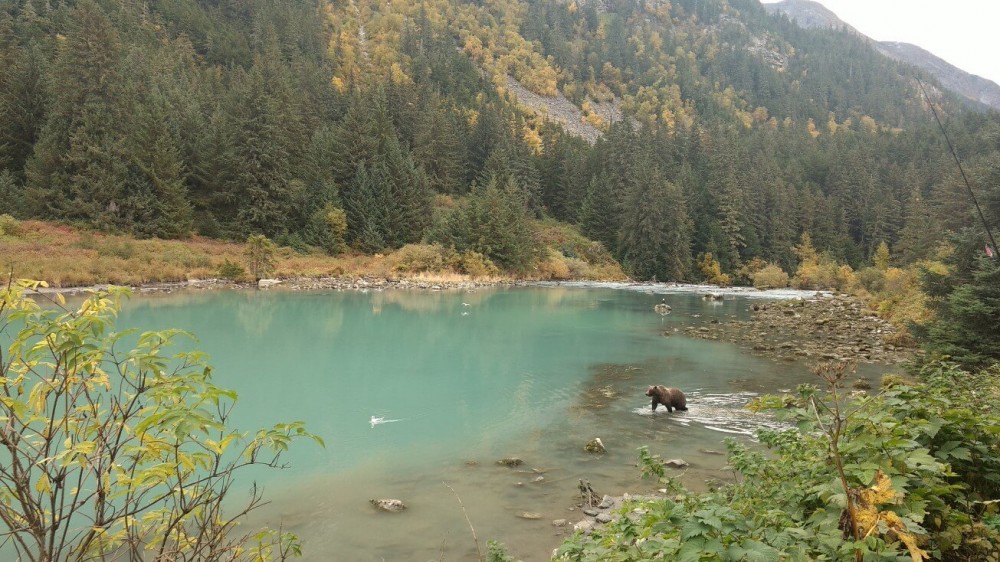 L'Alaska